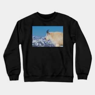 Watcher Crewneck Sweatshirt